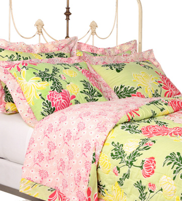 chrysanthemum bedding