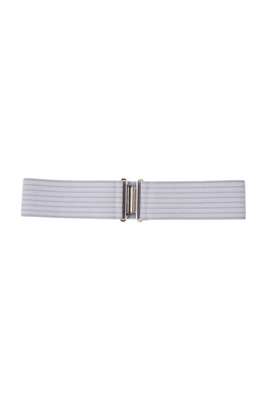 silver dollar belt