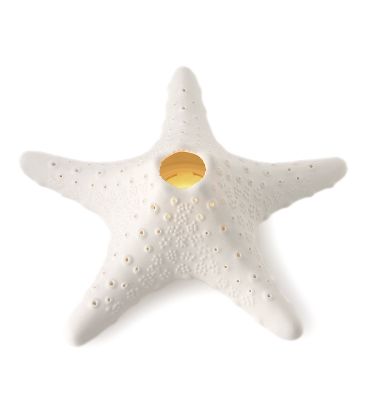 sea star covered lantern