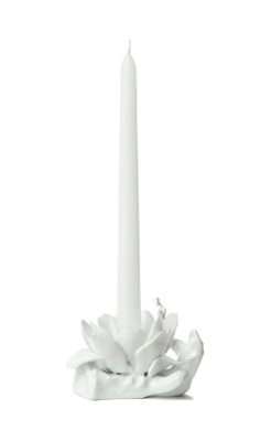 Anthropologie.com > Dogwood Double Candle Holder from anthropologie.com