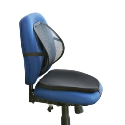 Ergonomic Back Support System