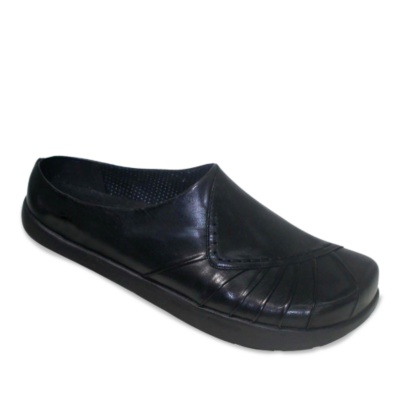 Earth Women's Misty Clogs