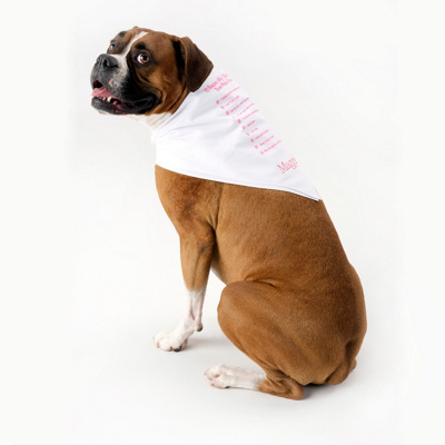 Maid of Honor Dog Bandana