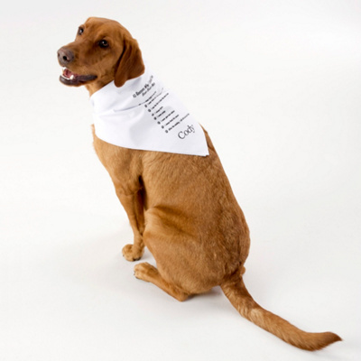 Best Man Dog Bandana