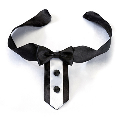 Wedding Accessories  Dogs on Tuxedo Dog Collar   Wedding Accessories For Pets