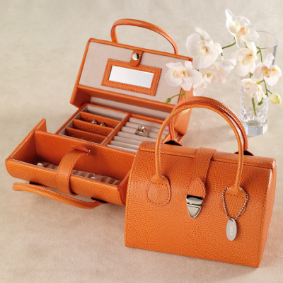 Always Organized Jewelry Case