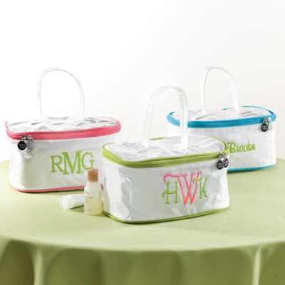 Travel Train Case