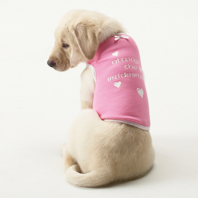 Always A Bridesmaid Dog Shirt