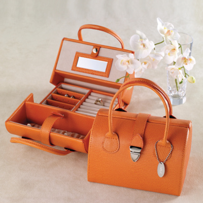 Always Organized Jewelry Case