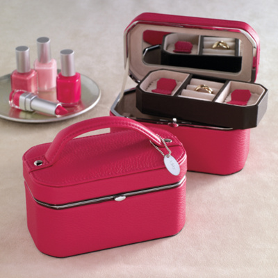 Smart Traveler Jewelry Tote
