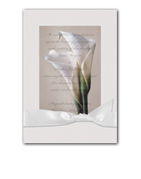 Bridal Bliss Wedding Invitation