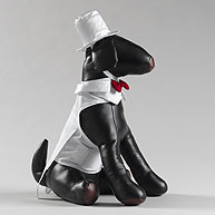 Wedding Accessories for Pets