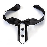Wedding Accessories for Pets