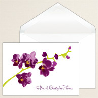 Orchid Romance Thank You Note