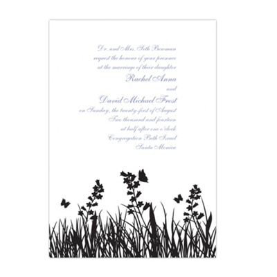 Bluebells and Butterflies