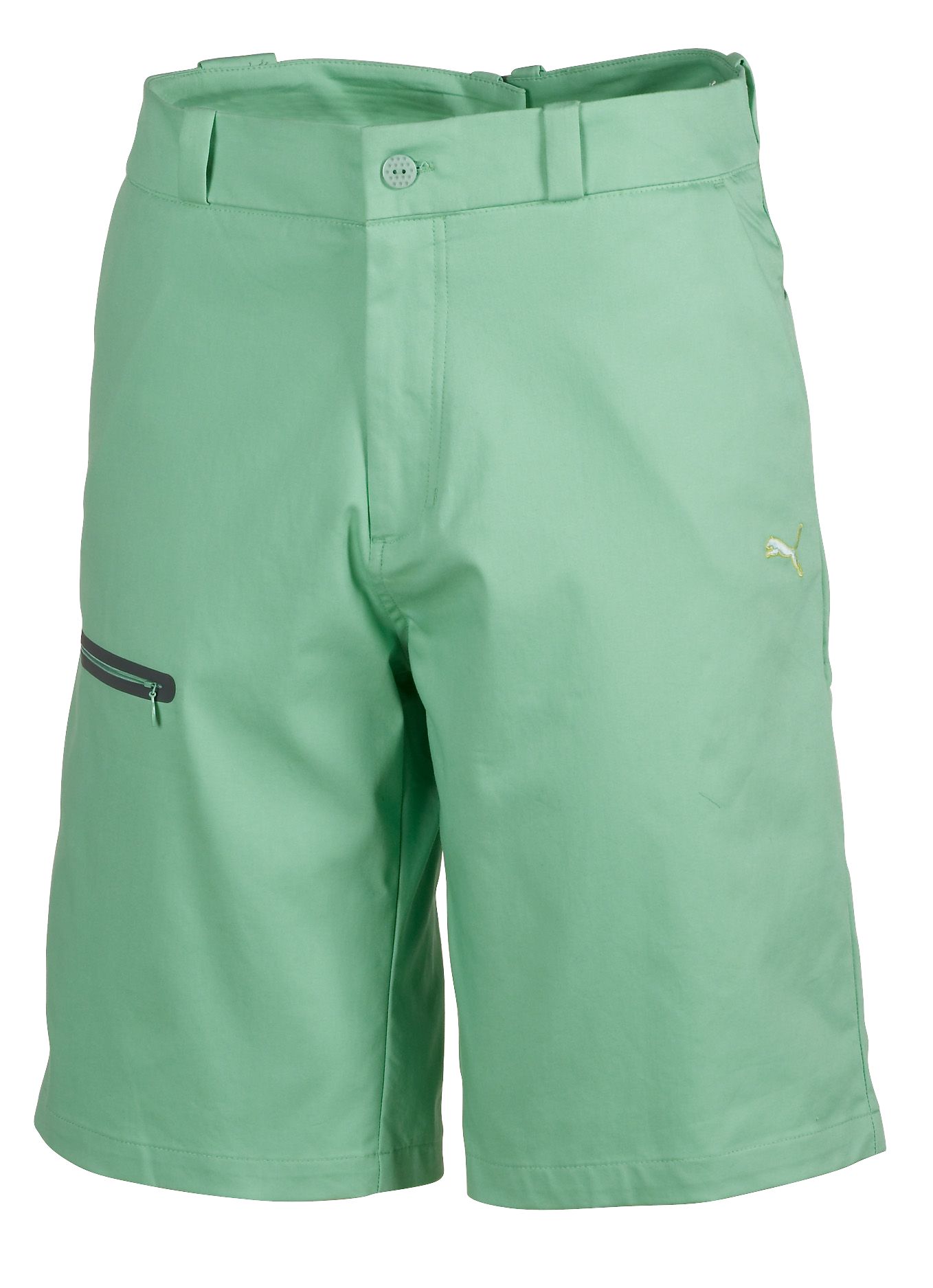 Puma Women's Graphic Shorts