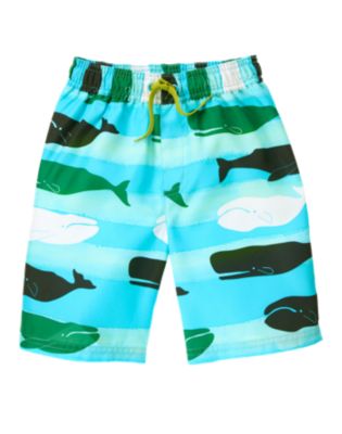 Whale Swim Trunk