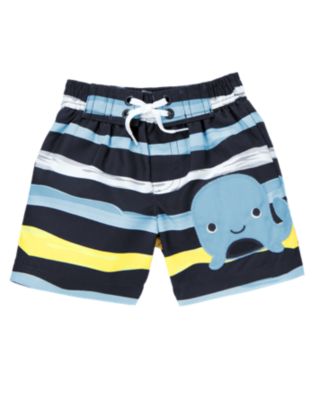 Whale Stripe Swim Trunk