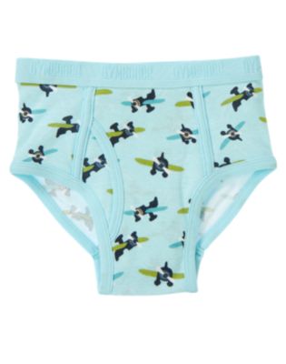Airplane Brief