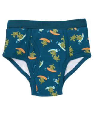 Surfing Turtle Brief