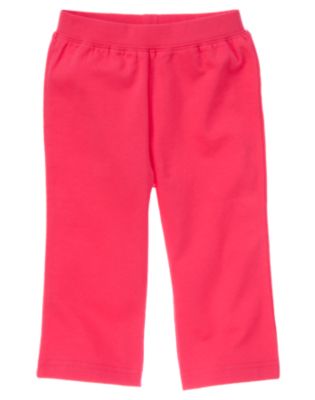 Knit Pant