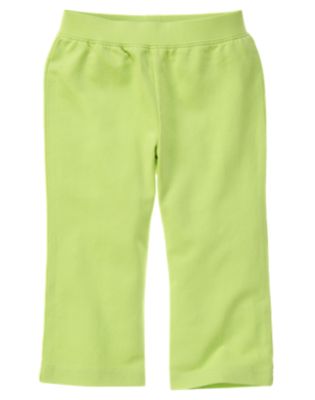 Knit Pant
