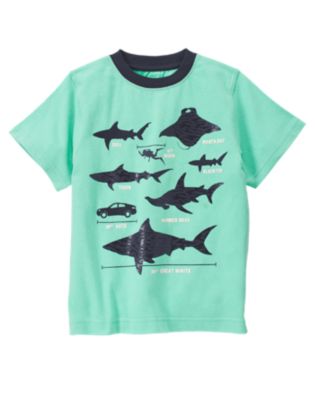 Shark Measurement Tee