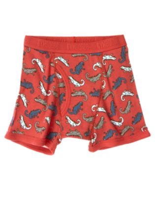 Iguana Boxer Brief