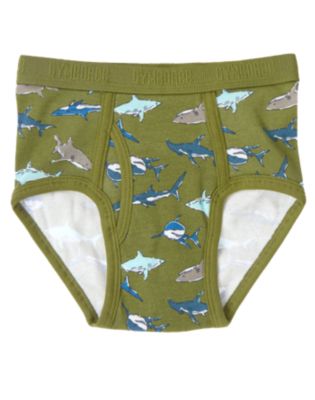 Sharks Brief