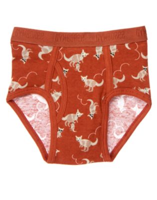 Kangaroo Brief