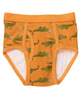Alligator Brief