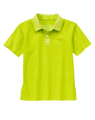 Striped Collar Polo Shirt