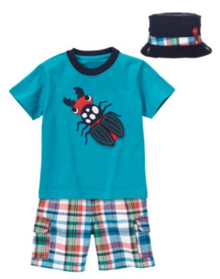 Beetle Buddy