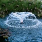 Commercial-Grade Illuminated Floating Fountain