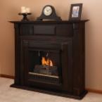 The Ventless Authentic Flame Fireplace.