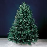 Fresh 6-Foot Christmas Tree