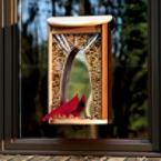 Casement Window Bird Feeder