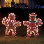 Lighted Gingerbread Boy