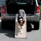 Non-Slip Pet Ramp