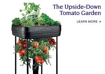 The Upside-Down Tomato Garden