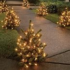 Pre-Lit Walkway Trees
