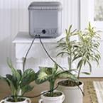 Automatic Plant-Watering System