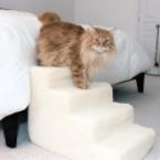 Four-Step Pet Staircase