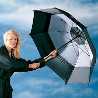  The Wind Defying Umbrella (44 Inch Compact).