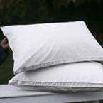 Standard Soft-Density Primaloft Pillow