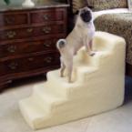 Six-Step Pet Staircase