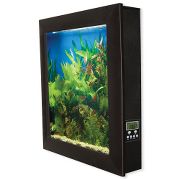 Wall Mounted Aquarium