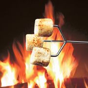  The Marshmallow Rotisserie 