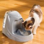 Advanced Large-Capacity Feline Drinking Fountain