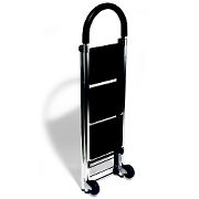  2-in-1 Ladder/Hand Truck